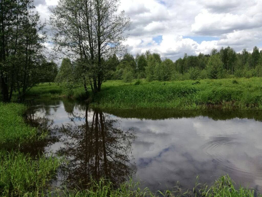 Фото деревни